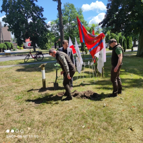 Posadzenia przez Nadleśniczego Nadleśnictwa Bolewice. 