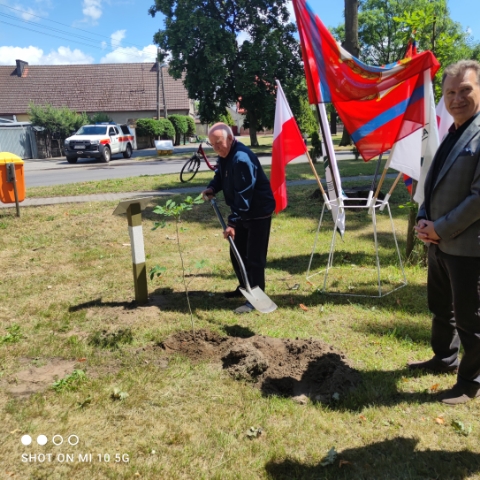 Posadzenie drzewka przez Sołtysa Sołectwa Bolewice.