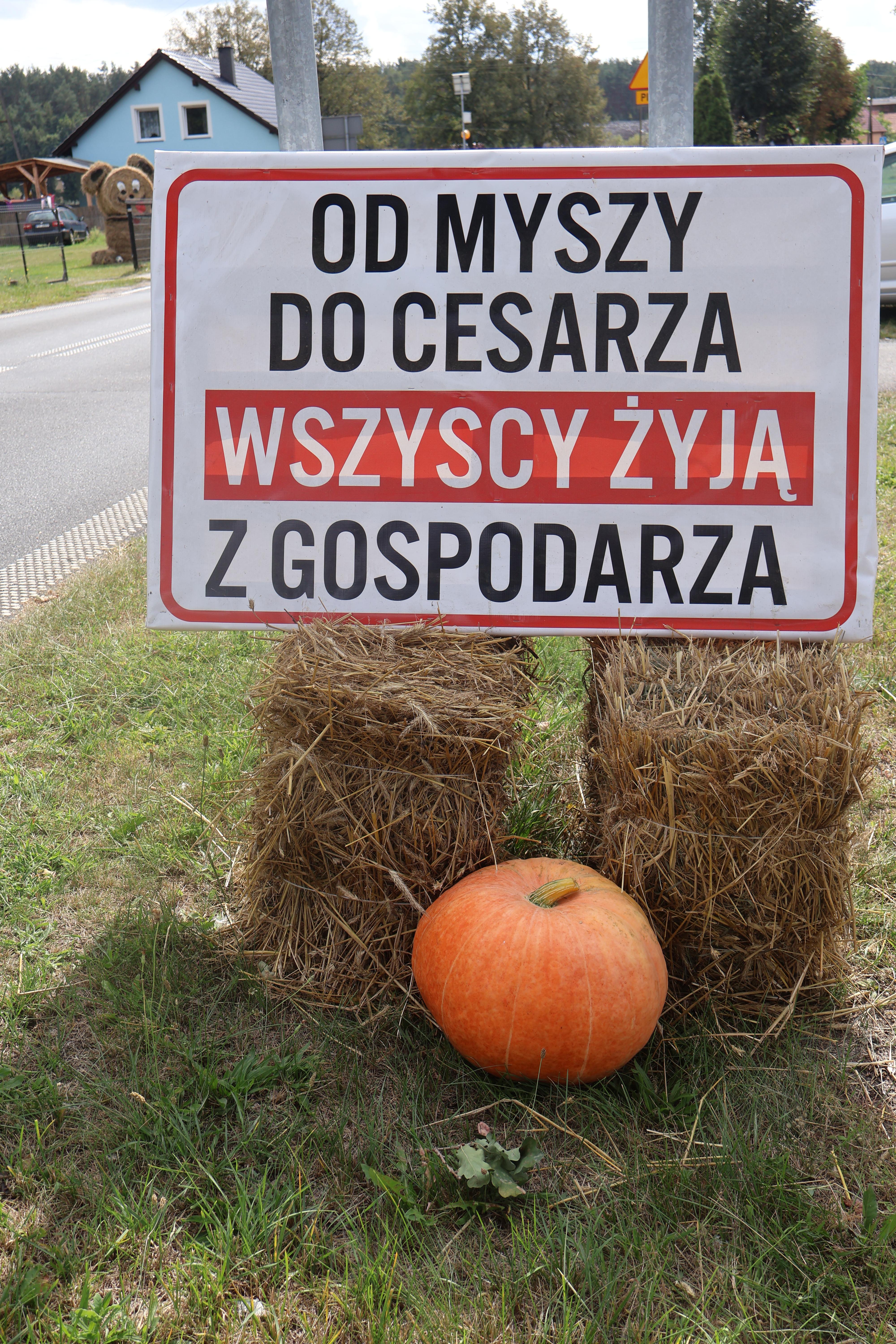 Dekoracja dożynkowa