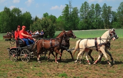 Zdjęcie do Konie i powozy &ndash; szlakiem Powstania Wielkopolskiego"