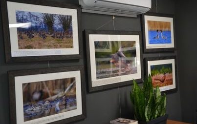 Zdjęcie do Otwarcie wystawy fotografii Grzegorza Gaczyńskiego