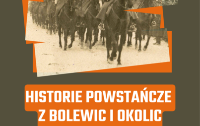 Zdjęcie do Historie powstańcze z Bolewic i okolic