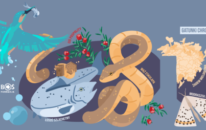 Zdjęcie do GBP w Miedzichowie laureatem konkursu Fundacji BOŚ !