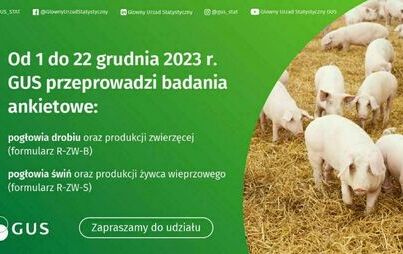 Zdjęcie do GUS przeprowadza badania statystyczne z zakresu rolnictwa