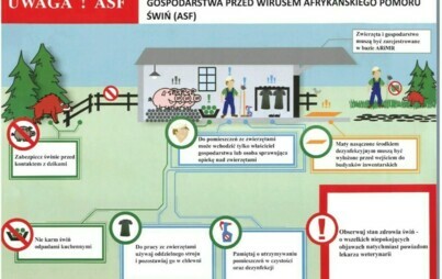 Zdjęcie do Zalecenia - Występowanie ognisk ASF u trzody chlewnej na terenie wojew&oacute;dztwa Wielkopolskiego