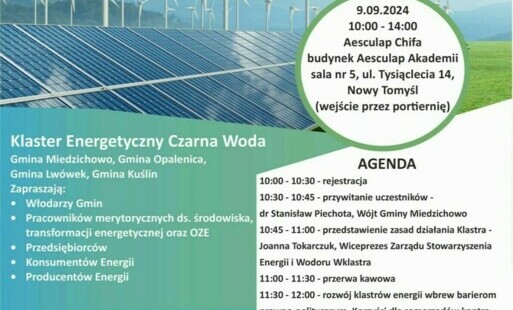 Zdjęcie do Warsztaty doradcze związane ze stworzeniem instalacji OZE realizowanej przez społeczności energetyczne - ostatnie wolne miejsca 