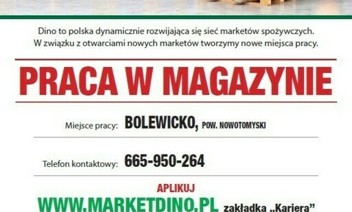 Zdjęcie do Rekrutacja w Centrum Dystrybucyjnego Dino w Bolewicku