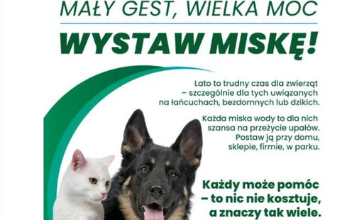 Zdjęcie do MAŁY GEST, WIELKA MOC / WYSTAW MISKĘ!