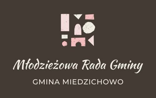 Zdjęcie do Ostatnia sesja Młodzieżowej Rady Gminy Miedzichowo II kadencji